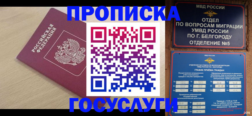 прописка законно в Зеленогорске